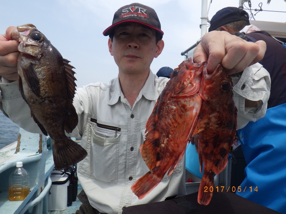 第八 良型カサゴ 高級魚狙いへ ウタセ五目コース 釣果ブログ 南知多 師崎 釣り船なら石川丸