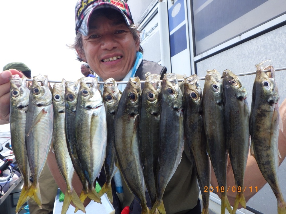 ヒラアジ 釣果ブログ 南知多 師崎 釣り船なら石川丸