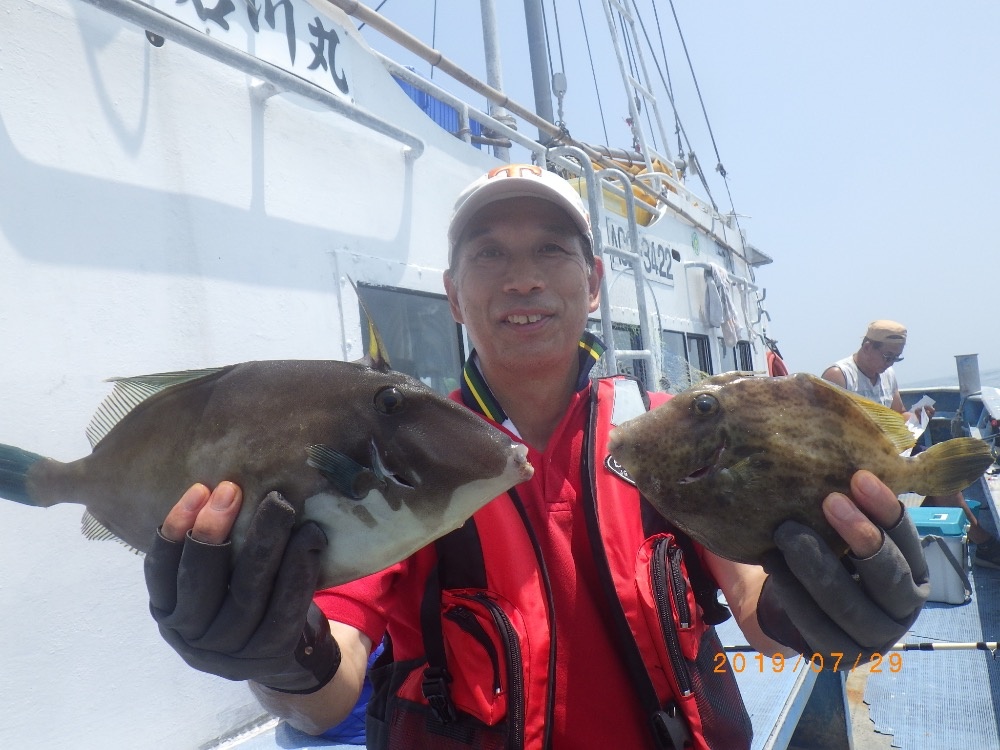 第五 夏ジャンボカワハギ激釣 上昇中 カワハギ五目コース 釣果ブログ 南知多 師崎 釣り船なら石川丸