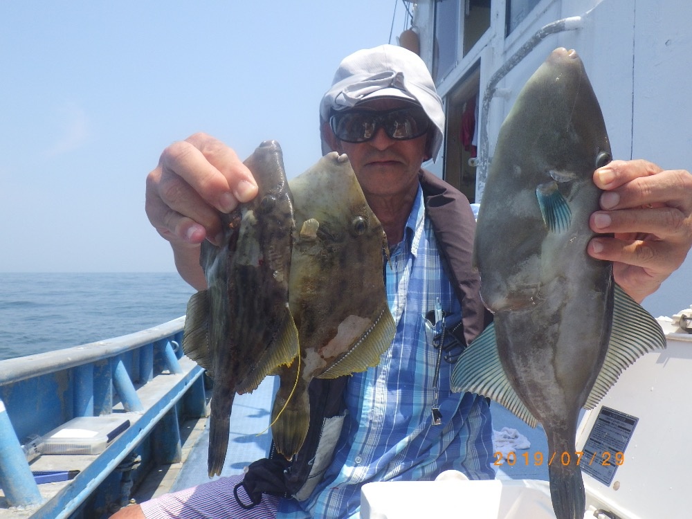 第五 夏ジャンボカワハギ激釣 上昇中 カワハギ五目コース 釣果ブログ 南知多 師崎 釣り船なら石川丸