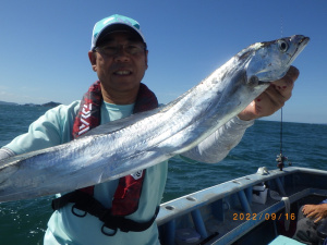 第五・伊良湖沖、タチウオ数釣りモードへ入る！！